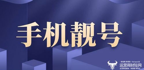 联通某地市公司“内鬼”勾结代理商，盗取上千靓号获利超百万